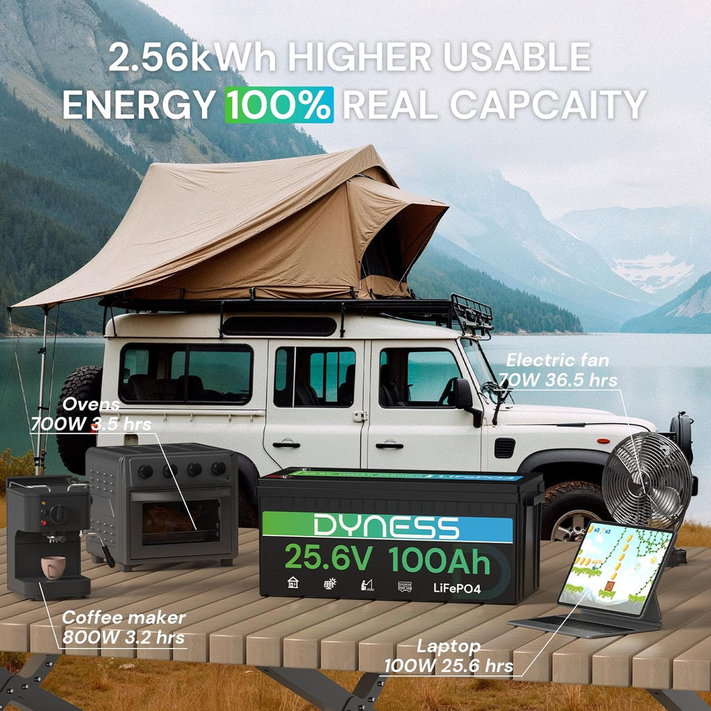 Batería LiFePO4 de 24 V 100 Ah, batería de litio de 25.6 V con potencia de 2560 Wh, BMS integrado de 100 A con protección a baja temperatura